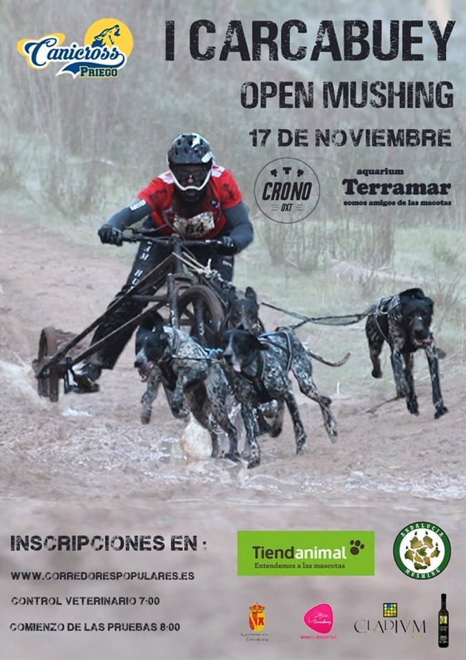 I CARCABUEY OPEN MUSHING 2019